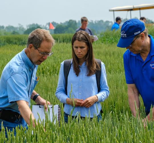 Dave Van Sanford (left) speaks with Lauren Brzozowski and Carl Schwinke of Siemer Milling at the 2023 Wheat Science Field Day, which was held at the UK Research and Education Center in Princeton, Kentucky. The field day allows research experts, growers an