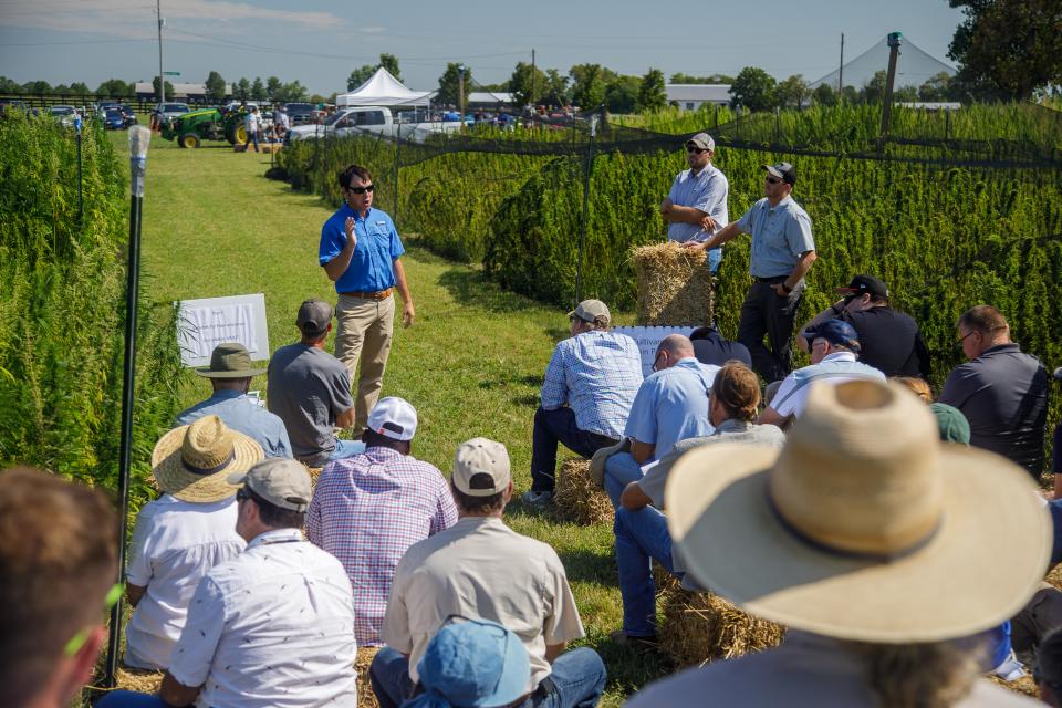 Hemp Field Day 2023 Field Day, Hemp, Production Agriculture, agriculture products, farm production, farm products Hundreds attended the UK College of Agriculture, Food and Environment Hemp Production Field Day at the University of Kentucky Spindletop Research Farm