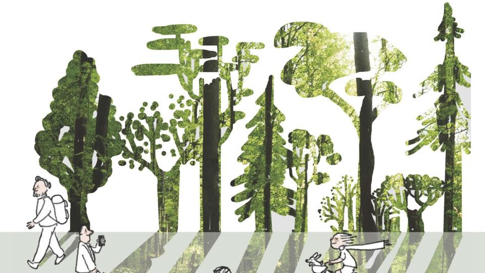 Canopy Con 2024 Canopy Con 2024